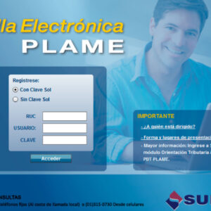 PDT 601: PLANILLA ELECTRÓNICA-T REGISTROS Y PLAME - 2022